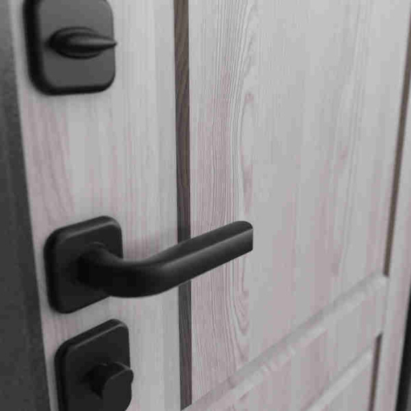 Дверь входная ТРАСТ ЭКО PP, Антрацит букле,  МДФ Орех грецкий 9E-161 / МДФ Ясень ривьера айс 9ED-1, 2050*860*90 мм, ЛЕВАЯ